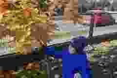 z8